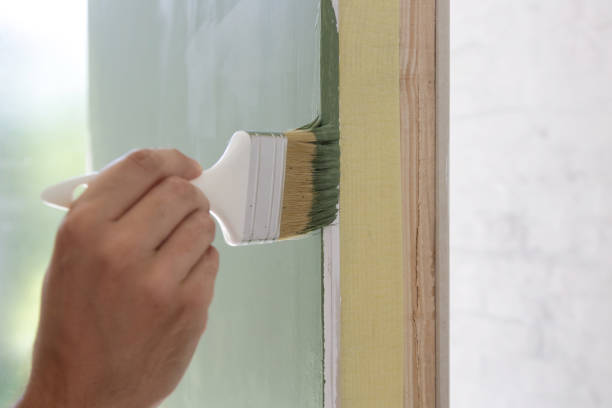  East Grand Forks, MN Mold Removal Pros