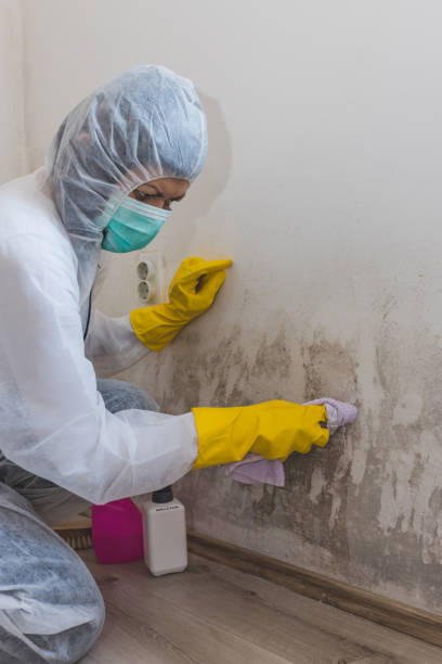 Best Forensic Mold Investigation  in East Grand Forks, MN