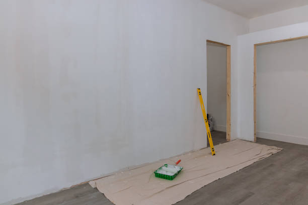 Best Black Mold Removal  in East Grand Forks, MN