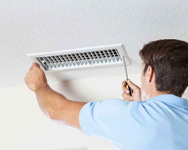 Trusted East Grand Forks, MN Mold Removal Experts