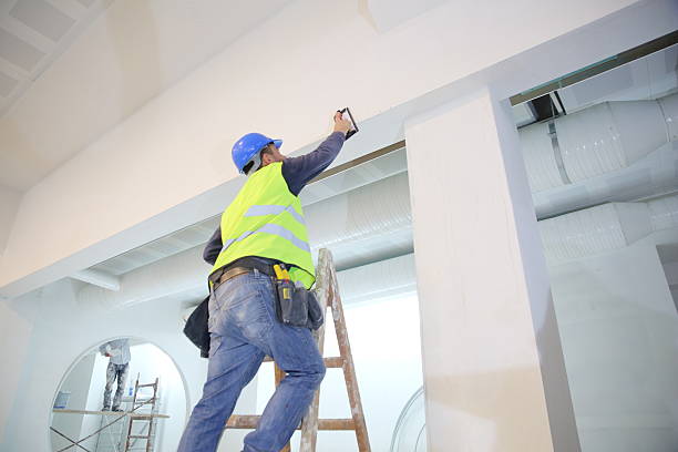 Best Mold Odor Removal Services  in East Grand Forks, MN